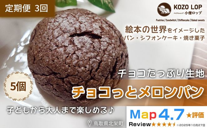 1172.【定期便3ヶ月】鳥取県産 チョコたっぷり生地 チョコっとメロンパン 5個×3回 313726_BD053