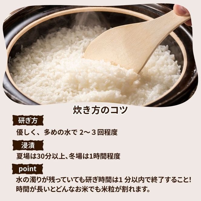 令和7年産 筑波山麓ホタルの里 厳選米 コシヒカリ3kg 透き通った