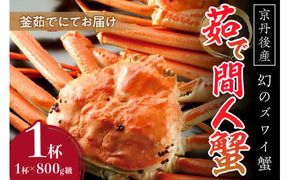 【幻のズワイ蟹】京丹後産 茹で間人蟹 鮮度抜群、釜茹でにてお届け！！ 800g級×1杯　 高級 国産 海産物 甲殻類 かに カニ ずわいがに 間人蟹 茹で ボイル ふるさと納税 海鮮 松葉蟹 松葉がに 松葉ガニ 間人がに 間人ガニ たいざがに YK00083