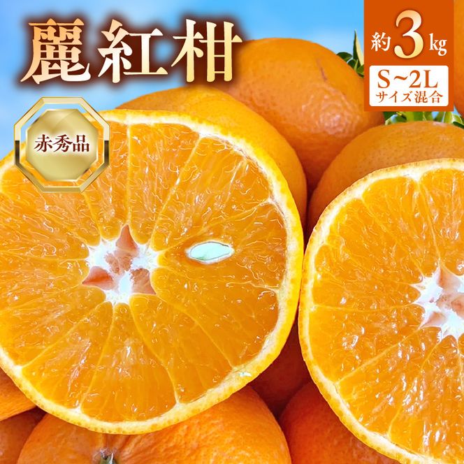 【2027年先行受付】麗紅柑 (れいこう) 赤秀品 S～2Lサイズ 3kg 和歌山有田産_BF6062