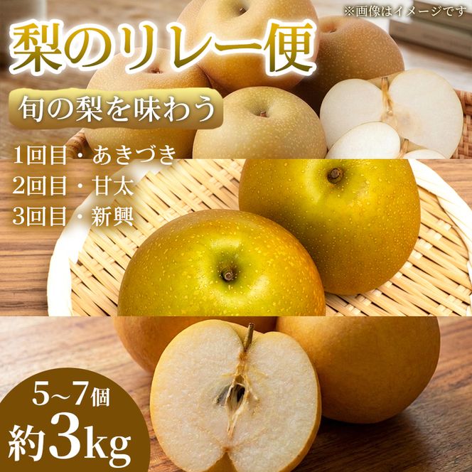 【旬の梨を味わう】熊本県産 リレー便(各5～7個)(約3kg)(1回目)あきづき(2回目)甘太(3回目)新興 梨 フルーツ 詰め合わせ 食べ比べ 甘い 濃厚 農家直送 ギフト 贈答用 家庭用 お取り寄せ 熊本県