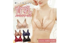 ノンワイヤー育乳ブラ［173N45］育乳 ノンワイヤー ブラ ブラジャー 1枚 選べる カラー ブラック ベージュ カフェラテ ネイビー ワインレッド サイズ シースルー 補正 下着 女性 レディース バスト 補整 おしゃれ 可愛い NOD