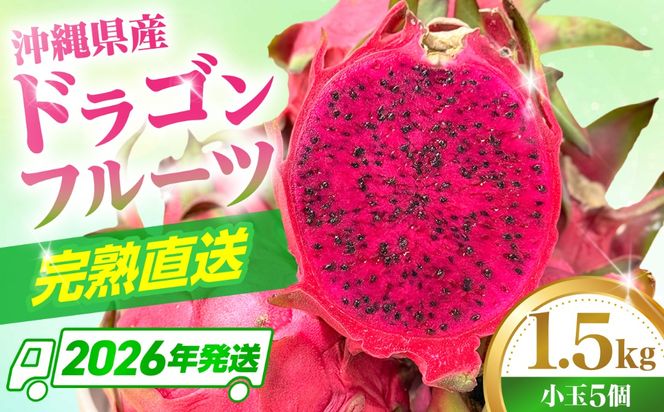 【2026年発送】 【小玉】 完熟ドラゴンフルーツ 1.5kg (5玉) 果物 フルーツ スーパーフード 産地直送 沖縄市 / タカエスフルーツ＆ベジタブル[BCBH005]