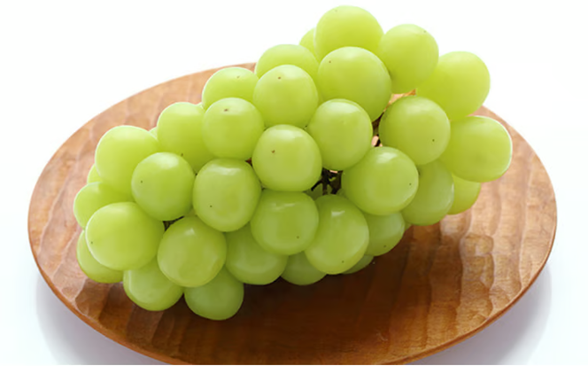 ぶどう 2026年 先行予約 詰め合わせ ニュー ピオーネ 1房（480g以上）・ シャイン マスカット 晴王 1房（480g以上）化粧箱入り ブドウ 葡萄 岡山県産 国産 フルーツ 果物 ギフト