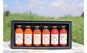 3種類のフレッシュなトマトの味わいが楽しめる　野崎農園　トマトジュースバラエティーセット　180ml×3種類×2本 果汁飲料 野菜飲料 