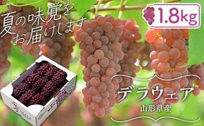 FYN6-064 ≪2026年先行予約≫山形県産 デラウェア 1.8kg(9～16房) 秀品 2026年8月上旬から順次発送 種無し 小粒 食べやすい ぶどう ブドウ 葡萄 くだもの 果物 フルーツ 夏果実 箱入り 中元 贈り物 ギフト 自宅 家庭 産地直送 山形県 西川町 月山