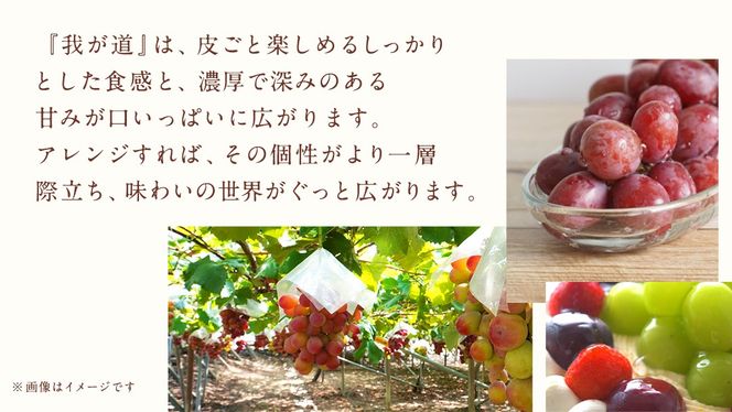 我が道 １房【2026年9月上旬発送開始】(茨城県共通返礼品：大子町) シャインマスカット ウインク 葡萄 ブドウ ぶどう 果物 フルーツ 希少 新品種