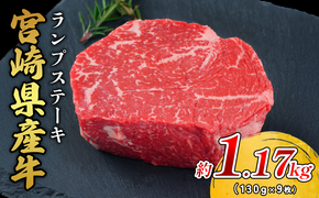 宮崎県産 黒牛 ステーキ 赤身 牛肉 ステーキ用 130g × 9枚 ランプ 130g 1170g 肉 牛 国産牛 小分け 真空パック 冷凍 贈答  国産 えびの市 送料無料