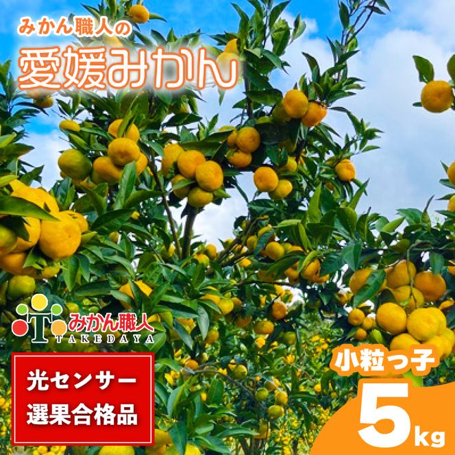 【先行予約】訳あり 愛媛みかん 小粒っ子 約5kg 人気 みかん 冬 秋 旬 厳選 光センサー選果 柑橘 かんきつ 果物 くだもの 国産 こくさん フルーツ スイーツ デザート ご褒美 みかん 蜜柑 大小 サイズ ミックス 不揃い 傷 温州 温州みかん 美味しい 農家直送 地場産品 こだわり みかん職人武田屋 愛媛県 愛南町