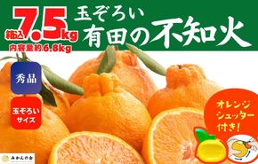 不知火 (しらぬい) 秀品 玉ぞろい 箱込 7.5kg (内容量約6.8kg)  和歌山県産 産地直送［みかんの会］ AX136