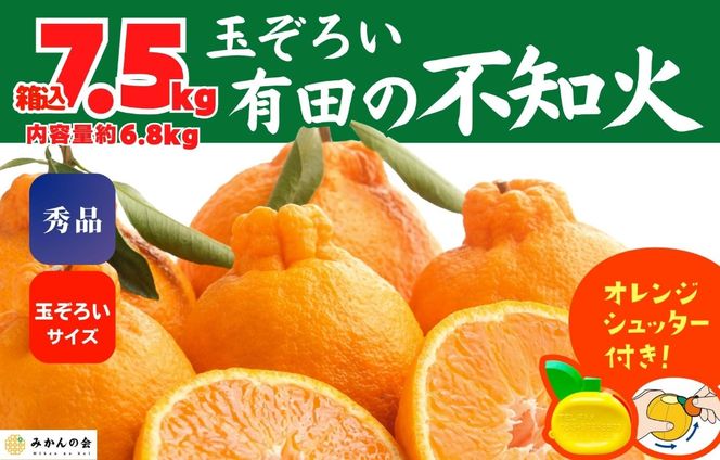 ya̎RLc쒬zsm (ʂ) Gi ʂ낢  7.5kg (eʖ6.8kg)  a̎RY Ynm݂̉n AX136