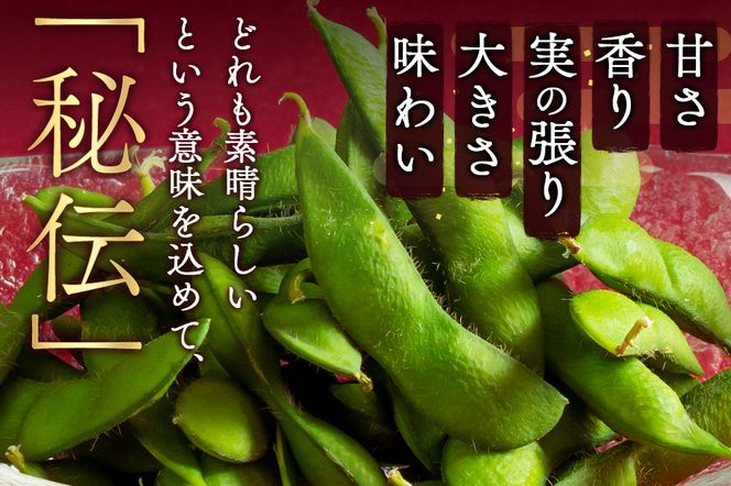 FYN9-408 ≪2026年先行予約≫山形県産 秘伝豆 1.25kg（250g×5袋）2026年9月中旬から順次発送 小分け 個包装 青大豆 枝豆 えだまめ 野菜 やさい おつまみ ビール 国産 山形県 西川町 月山