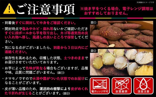 島津甘藷　熟成紅はるか 10kg(2L～2S)_AA-A701