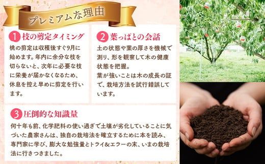 ◆2026年夏発送◆桃源の極み～産直・桃・約1kg×3回～ ※離島への配送不可 ※2026年7月上旬～9月上旬頃に順次発送予定 ｜ 先行予約 予約 数量限定 桃 もも モモ 果物 くだもの フルーツ 詰め合わせ 福島 ふくしま