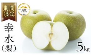 【 JA 北つくば 】 筑西ブランド 認証品 幸水 5kg 果物 2026年産 先行予約 梨 フルーツ なし ナシ 幸水梨 くだもの デザート 茨城 [AE008ci]