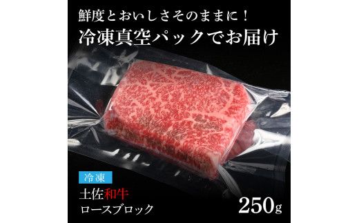 TKA230　天下味 エイジング工法 熟成肉 土佐和牛 特選 ロースブロック 250g エイジングビーフ 国産 牛肉 土佐 和牛 冷凍配送 真空パック お祝い 高知 芸西村 贈り物 贈答 ギフト