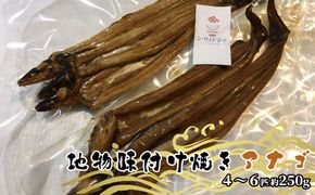 宇野沖産 地物 味付け 焼き アナゴ  4～6匹 約250g（ タレ 付き） 玉野魚市場 穴子 海鮮 新鮮 冷凍 真空パック 茹でる 魚貝類 おすすめ 焼きアナゴ 味付き 