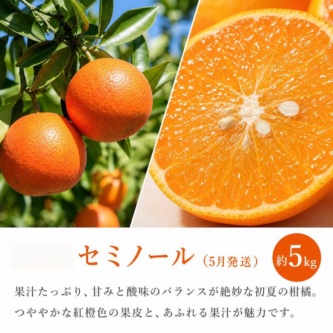 ［全3回 定期便］紀州和歌山産旬のフルーツセット（セミノール・スイカ・桃）［UT151］ 303446_XF91194