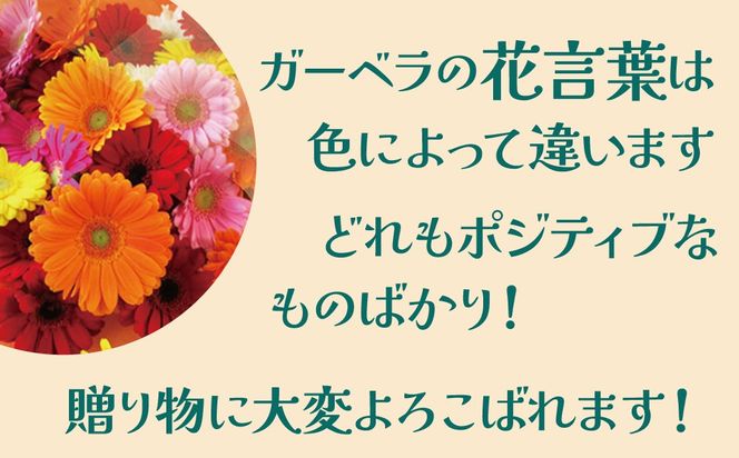 【ラッピング付】生花 レッドガーベラ の花束 50本 日付指定可能 ギフト プレゼント ラッピング 産地直送 インテリア お花 フラワー  ボリューム満点 H193-030