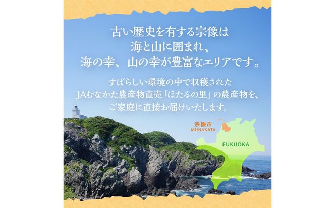 何が届くかお楽しみ！むなかた旬のフルーツ福袋定期便【年4回】【JAほたるの里】_AM0165-00