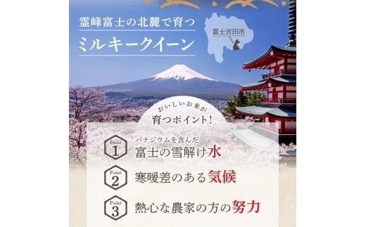 【令和8年産】富士吉田の美味しいお米 ミルキークイーン 【選べる種類・容量】 白米 無洗米 3kg 5kg 6kg 10kg 富士吉田産 新米 米低アミロース米 山梨 富士吉田