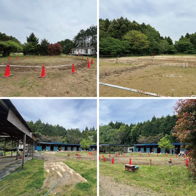 Shiina Riding Club　ビジター乗馬体験40分【茨城県 北茨城市 アクティビティ おでかけ レンタル 体験 チケット 馬】（DA003）