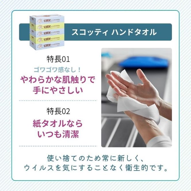 定期便 ペーパータオル スコッティ キレイの仕上げ 5箱 × 4パック 《 6ヶ月ごと計2回 》ペーパータオルセット