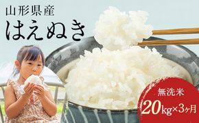 FYN2-486 【3回定期便・10月前半発送】令和7年産 山形県産 はえぬき 20kg 無洗米 2025年 お米 米 米米 ごはん ご飯 白米 国産 ブランド米 節水 時短 冷めてもおいしい お取り寄せ 食品 山形県 西川町 月山