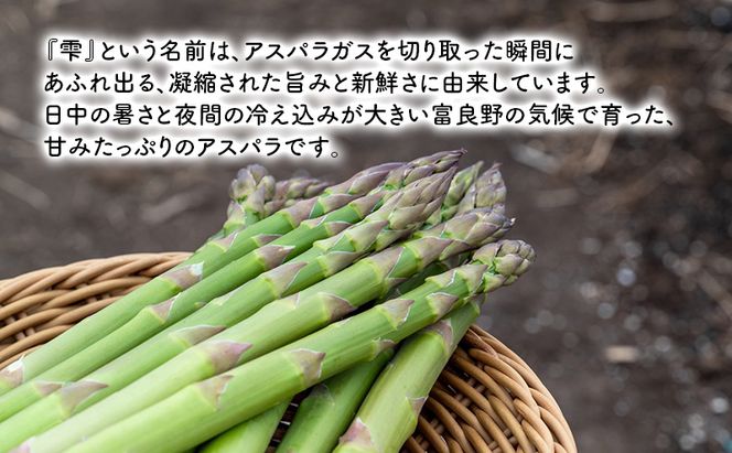【2027年4月～発送】富良野産 採れたて直送! グリーンアスパラ 「雫」L～Mサイズ【約1kg】 (清水farm) アスパラ アスパラガス 野菜 新鮮 季節限定 北海道 富良野 ふらの