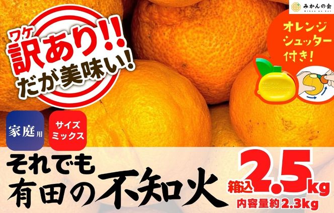 不知火 訳あり それでも 有田の不知火 箱込 2.5kg (内容量約 2.3kg) サイズミックス 和歌山県産 産地直送 【みかんの会】	AX145