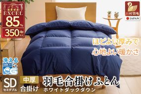 【春秋用】 洗える 羽毛布団 合掛け セミダブル ホワイトダックダウン85％ 1.0kg 無地 ネイビー 中厚 春用 秋用 [川村羽毛 山梨県 韮崎市 20745415] 合い掛け 軽い羽毛 布団 コインランドリー 掛け布団 ダウンかけ布団 ふとん 羽毛ふとん 合掛け布団 エクセルゴールドラベル