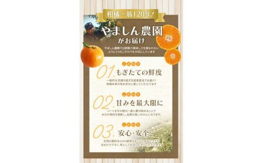 【2026年11月発送予約分】＼光センサー選別／ 【農家直送】【家庭用】こだわりの有田みかん 2kg 先行予約 有機質肥料100% サイズ混合 【11月発送】※北海道・沖縄・離島配送不可/みかん ミカン 有田みかん 温州みかん 柑橘 有田 和歌山 産地直送【nuk004-c-2-novI】