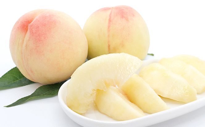 桃 2026年 数量限定 白鳳 6-8玉 計2.0kg以上 岡山県 赤磐市産