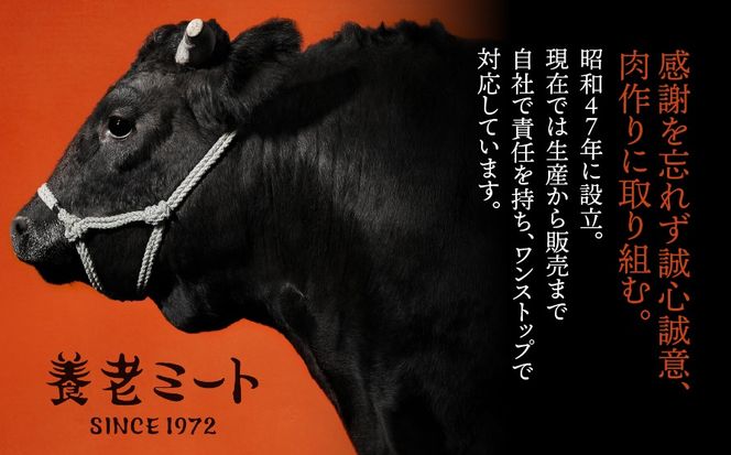 AJ-38-z 【6か月定期便】月替わりで色々な飛騨牛を楽しめる全6回 2025/9/19～