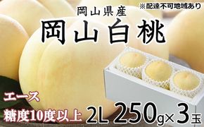 桃 2026年 先行予約 岡山 白桃 エース 3玉×約250g（2Lサイズ）JAおかやまのもも（早生種・中生種） もも モモ 岡山県産 国産 フルーツ 果物 ギフト 