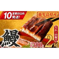【0104347a-10E】＜10営業日以内発送＞東串良町のうなぎ蒲焼(無頭)(2尾・計約300g・タレ、山椒付) うなぎ 高級 ウナギ 鰻 国産 蒲焼 蒲焼き たれ 鹿児島 ふるさと 人気 スピード発送 スピード便 【アクアおおすみ】