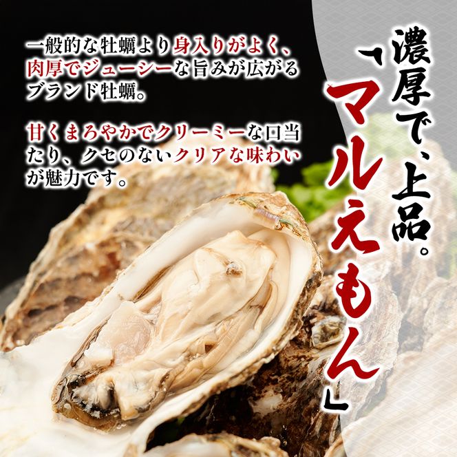 訳あり 北海道 厚岸産  殻付き 牡蠣 350g 【光輝】 [ 魚貝類 生牡蠣 海鮮 海の幸 生食用牡蠣 生食用 生食用殻付き牡蠣 濃厚 甘み  オイスター ]  
