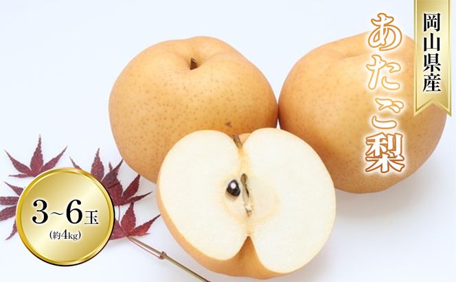 梨 2026年 先行予約 あたご梨 3-6玉 青秀以上 (約4kg) 化粧箱入り 