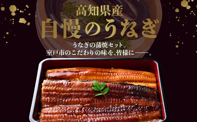 【12回定期便】ヤマジュウ厳選! 国産 ウナギ 蒲焼き 1尾(約175g～180g)×12回 12ヶ月 タレ付き 鰻 うなぎ かば焼き 加工品 魚 魚介類 高知県産 冷凍 _ yj045