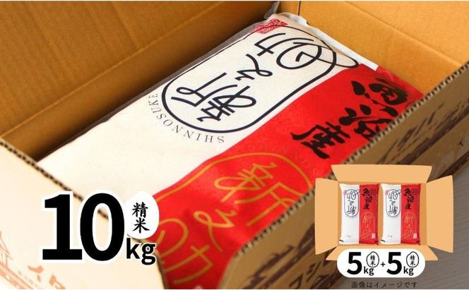 【定期便全12回毎月発送】魚沼産新之助(精米)　10kg 米 定期 新潟 十日町市