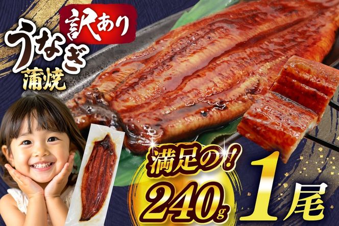 うなぎ 訳あり 鰻 蒲焼 特大 1尾 約240g 不揃い 規格外 小分け [大黒物産 福岡県 宇美町 um40bak830044] タレ 山椒付 茶葉蒸し ウナギ うなぎ蒲焼 鰻蒲焼き 蒲焼き かば焼き 真空パック 個包装 冷凍 unagi