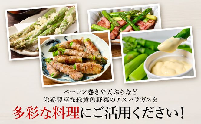 熊本県 八代市産 アスパラガス 5kg 新鮮 アスパラ 野菜 やさい 旬