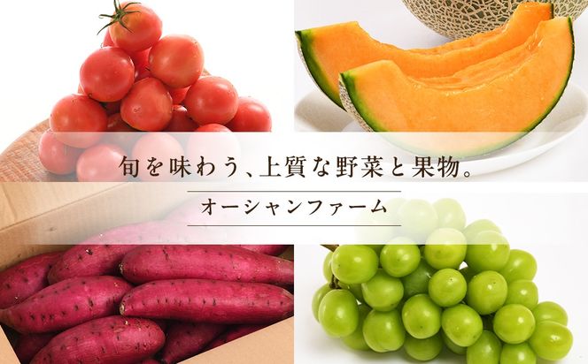 ピオーネ 4房【2026年8月より発送開始】（茨城県共通返礼品 [ぶどう]：結城市産）田舎の頑固おやじが厳選！  ぶどう ブドウ 葡萄 種なし 大粒 高糖度 ギフト 甘い 美味しいフルーツ [BI286-NT]