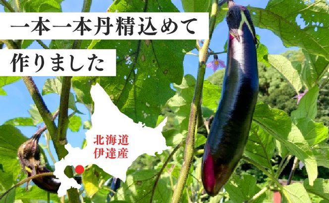 ＜先行予約＞北海道伊達産 長ナス 3kg 詰め [2026年発送]【ogr-001】