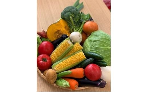 川崎市市内産新鮮野菜・農産物詰め合わせ