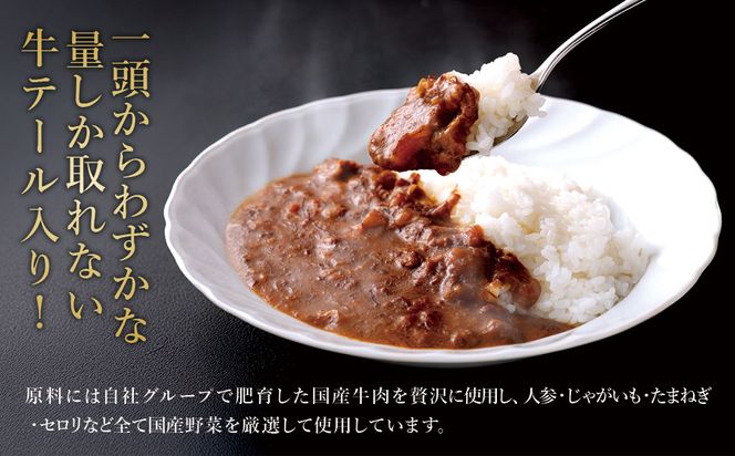牛テール カレー セット 冷凍(200g × 10パック 計 2,000g) ビーフカレー 肉 牛 ギフト 常備食 保存食 非常食 冷凍 簡易包装 送料無料