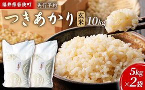 【10月お届け】令和8年産 若狭町ツキアカリ玄米10kg 米 お米 つきあかり 福井県