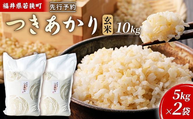 【10月お届け】令和8年産 若狭町ツキアカリ玄米10kg 米 お米 つきあかり 福井県