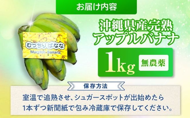 ムッチリ食感！沖縄県産アップルバナナ 1kg バナナ フルーツ 果物 無農薬 banana 沖縄市 / タカエス フルーツ＆ベジタブル[BCBH003]