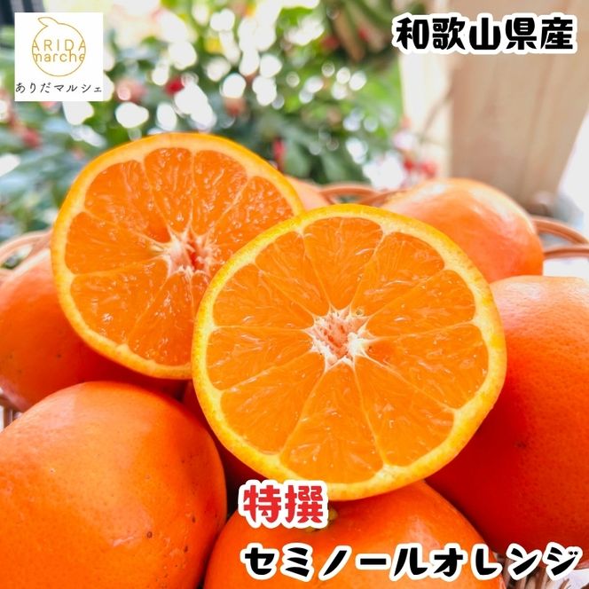 【特撰】セミノール 3kg+200g(補償分)｜ みかん 高級 くだもの 晩柑 柑橘 和歌山